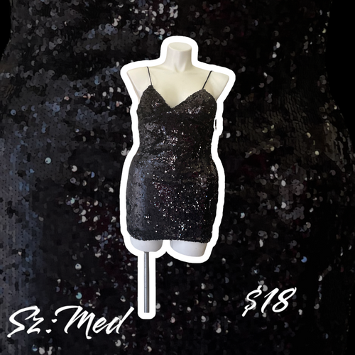 Sequin Dress