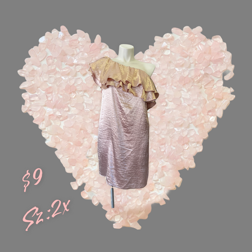 Plus-sized Silk strapless dress